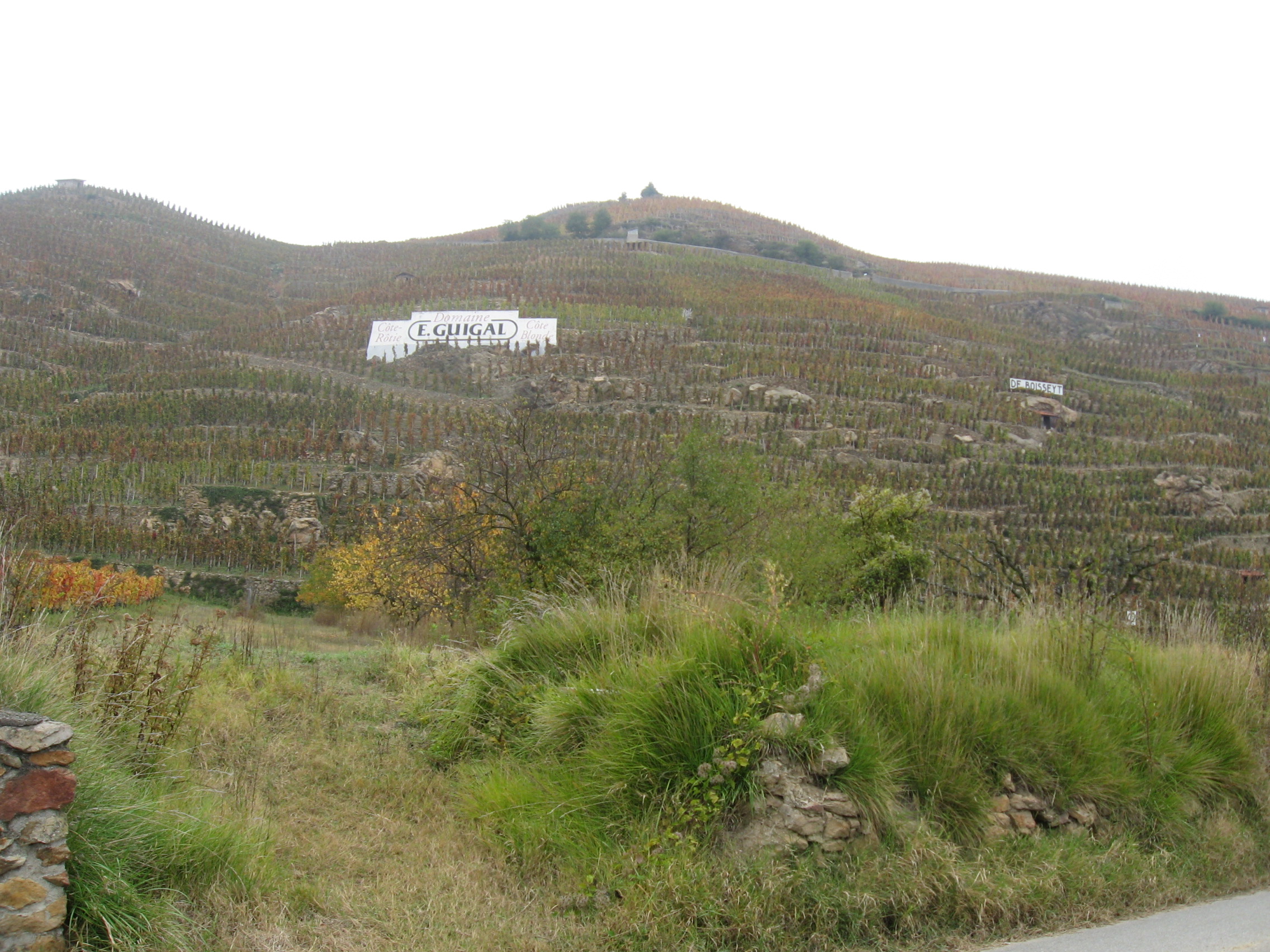 C&ocirc;te-Rotie